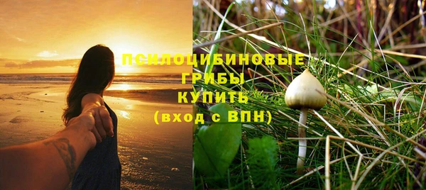 MDMA Козловка