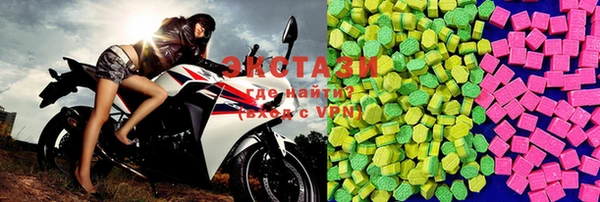 гашик Козельск