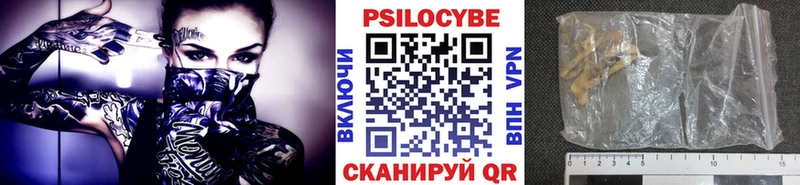 MEGA ссылки  Ардатов  Псилоцибиновые грибы GOLDEN TEACHER 